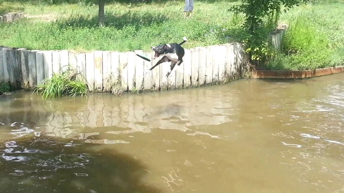 Jump and Miss